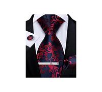 DiBanGu Silk Red and Blue Mens Tie Paisley Necktie and Pocket Square Cufflinks Tie Clip Set Jacquard Woven Wedding Party Ties