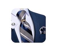DiBanGu Silk Stripe Tie for Men Blue and White Tie set and Lapel Pin Brooch Woven Handkerchief Cufflinks Wedding Formal Business
