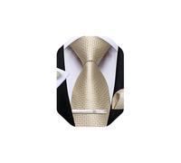 DiBanGu Silk Ties for Men Formal Striped Necktie and Pocket Square | 5PCS, Woven, Handkerchief, Tie Clip, Cufflinks, Classic, Durable For Wedding Party, Father’s Day Gift with Premium Gift Box