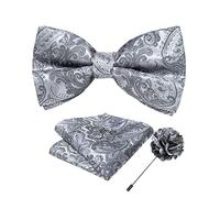 DiBanGu Silver Grey Mens Bow Tie Silk Paisley Bowtie Set with Pocket Square Lapel Pin Cufflinks Adjustable Bowtie Wedding Party