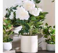 Dibor Classic Faux White Peonies In White Flower Vase H71 X Dia46Cm