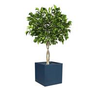 Dibor Fibre Clay Box Planters Striped Flower Plant Pots (Blue, Large, 44L) | Fibre Clay, Drainage Hole, Striped Finish, Embossed, Flower Pots, Plant Pots, Planters, Box Planters, 44L, 37cm