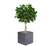 Dibor Fibre Clay Box Planters Striped Flower Plant Pots (Grey, Large, 44L)