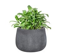 Dibor Fibre Clay Plant Pots 29cm Indoor/Outdoor Modern Rippled Finish Flower Pot Planters Patio Decking Lawn Doorstep Porch Houseplant Shrub Topiary Bush Plant Pot Clay Planters (Grey, Small 8.5L)