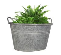 Dibor Metal Plant Pot Galvanised Bucket Planter with Handles (Large) | Dolly Planter, Carrying Handles, Watertight, Patio, Lawn, Decking, Planter, Flower Pot