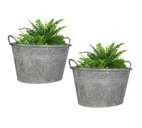 Dibor Metal Plant Pot Vintage Style Galvanised Bucket Trough Dolly Planter with Handles Patio Lawn Decking Plant Pot for Shrubs, Bushes, Trees, Topiaries & Flowers (Large x2)