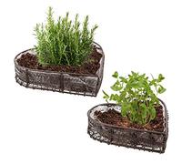 Dibor Metal Planter Set - 2 Plant Pot Herb Tray Flower Planters