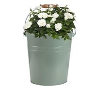 Dibor Sage Green Plant Pot Vintage Bucket Jardinière Planter Flower Pot 17L Spring Summer Fathers Day Gardening Gift (BR84)