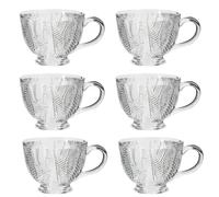 Dibor Set Of 6 Vintage Style Embossed Botanical Design Coffee Mug Clear Tea Cups 400Ml