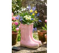 Dibor Pink Double Wellington Planter 17cm - Size: 17 x 15 x 10cm - Wilko