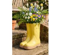 Dibor Small Yellow Wellington Boot Indoor Outdoor Flower Pot Garden Planter (W) 15Cm, (H) 17Cm