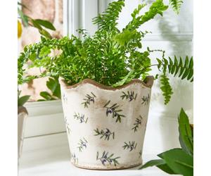Dibor Traditional Large Scalloped Ceramic Plant Pot Spring Summer Purple Olives Planter (Dia) 16Cm, (H) 15Cm