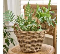 Dibor Traditional Lined Small Wicker Planter Basket With Handles