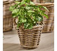 Dibor Traditional Lined Xxs Wicker Planter Basket With Handles