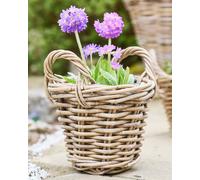 Dibor Traditional Lined Xxs Wicker Planter Basket With Handles