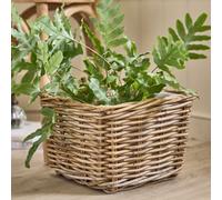Dibor Traditional Medium Wicker Square Lined Planter Basket in Grey Dibor Grey Medium