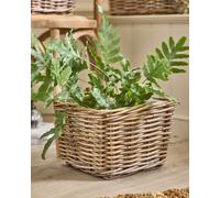 Dibor Traditional Medium Wicker Square Lined Planter Basket in Grey Dibor Grey Medium