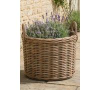 Dibor Traditional Oval Large Indoor Planter Basket With Handles H39 X L56 X W45Cm
