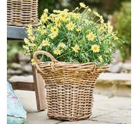 Dibor Traditional Rattan Medium Summer Outdoor Garden Basket Planter