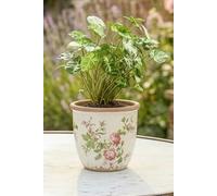 Dibor Traditional Rose Round Antique Flower Pot Vase in White | Size: Small Dibor White Small