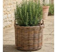 Dibor Traditional Round Grey Medium Rattan Indoor Planter Basket H35 X L48 X W48Cm