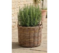Dibor Traditional Round Grey Medium Rattan Indoor Planter Basket in Natural Dibor Natural M