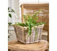Dibor Traditional Small Wicker Square Lined Planter Basket in Grey Dibor Grey Small