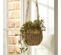Dibor Traditional Style Emery Seagrass Indoor Hanging Flower Planter (Dia) 16Cm, (H)78Cm