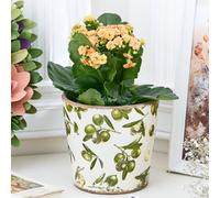 Dibor Traditional Style Tapered Rustic Olive Flower Pot Indoor Planter (Dia) 13Cm, (H)14Cm