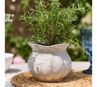 Dibor Traditional White Ceramic Table Decor Plant Pot H14 X Dia 15Cm