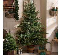 Dibor Traditional Winterburg Pre-Lit Artificial Potted Front Door Christmas Tree - 7Ft