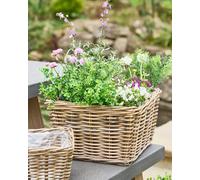 Dibor Traditional XL Wicker Square Lined Planter Basket in Grey Dibor Grey