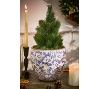 Dibor Vintage Solene Blue Botanical Flower Planter H17 x Dia. 18.5cm in Cream | Size: Large Dibor Cream Large