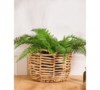 Dibor Vintage Style Large Open Weave Wicker Scalloped Planter Basket (Dia) 30cm, (H) 22cm in Natural Dibor Natural Large
