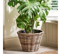 Dibor Vintage Style Large Wicker Plant Pot With Plastic Lining Bucket Indoor Planter Rattan Outdoor Garden Planter (Dia) 34Cm, (H)45Cm