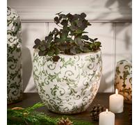 Dibor Vintage Irina Green Large Botanical Flower Planter H17 x Dia. 18.5cm in Cream Dibor Cream Large