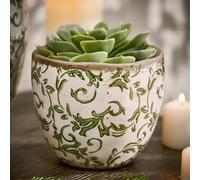 Dibor Vintage Irina Green Medium Botanical Flower Planter H11.5 x Dia. 13cm in Cream Dibor Cream Medium
