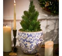 Dibor Vintage Solene Blue Botanical Flower Planter H17 x Dia. 18.5cm in Cream | Size: Large Dibor Cream Large