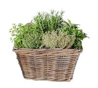 Dibor Willow Wicker Planters Watertight Lined Indoor Rattan Planters with Carrying Handles Rustic Style Plant Basket Spring Summer Fathers Day Gardening Gift (L)