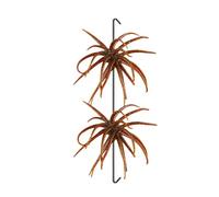 Dice Baits - Colorful Slow Sinking Floating Sea Hedgehog Realistic 2 Pieces | Sea Urchin Artificial Bait | for and Salt Waters Rivers Lakes Streams Invaded Along the Banks