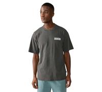 Dickies Buchtell Short Sleeve T-shirt Grey 2XL Men