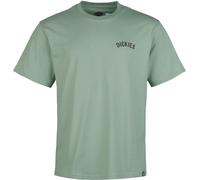 Dickies DICKIES SNAKE T-SHIRT T-Shirt green S