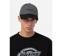 Dickies, Unisex, Twill DAD HAT, Graphite, OS