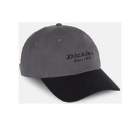 Dickies Everyday Dickies Twill Cotton Unisex Adults Grey Baseball Caps