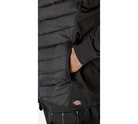 Dickies Generation Hybrid Body Warmer Black Baffled padded panels, Secure zip