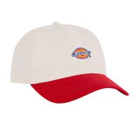 Dickies Hardwick Two Tone Cap