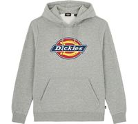 Dickies Icon Logo Hoodie Grey M Man