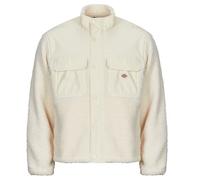 Dickies Jacket PINESDALE JACKET in Beige EU XL