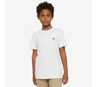 Dickies Kids Mapleton T Shirt