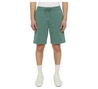 Dickies Mapleton Shorts